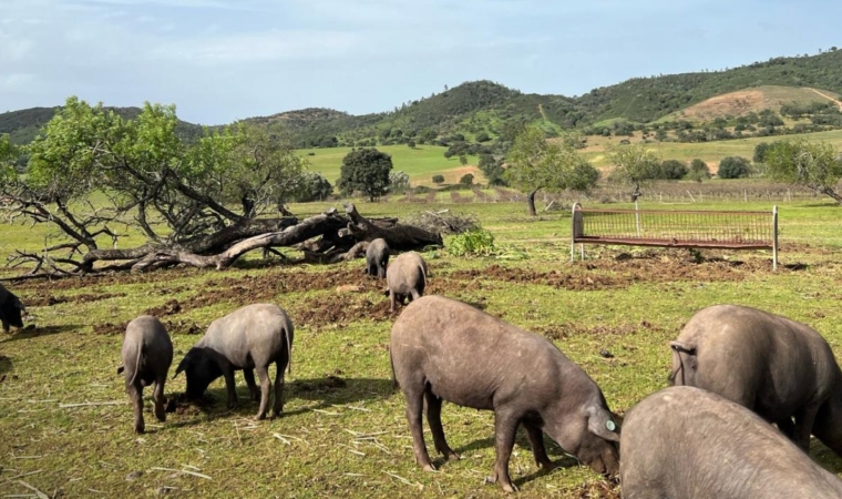 Special Program - "Farm to Table"