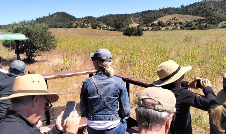 Special Program - "Farm to Table"